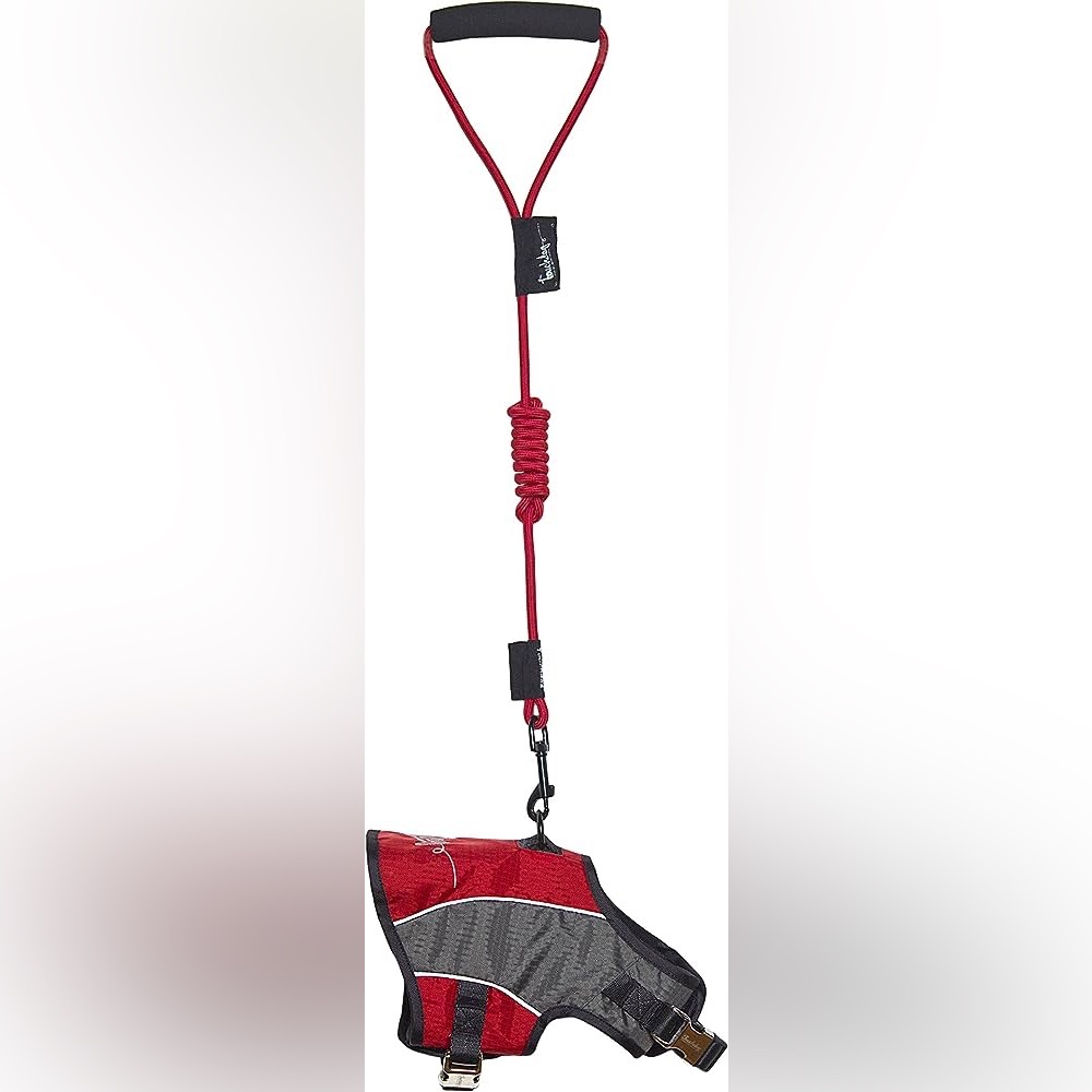 TOUCHDOG Adjustable Dog Harness and Leash Combination, Extra Large